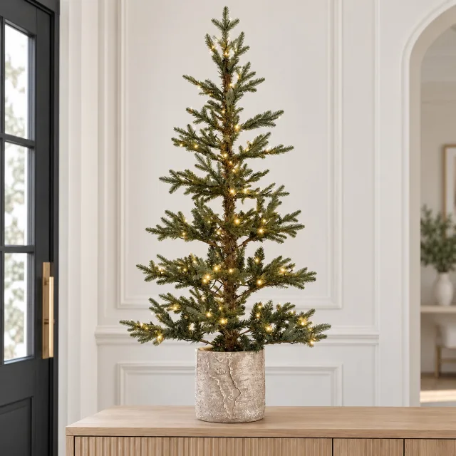 Haute Decor 5 Foot Pre-lit Timberland Fir Potted Christmas Tree