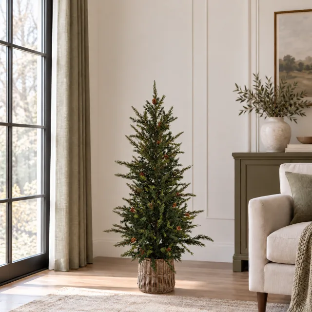 CG Hunter Holiday Pine Tree, 4 ft, in Pot